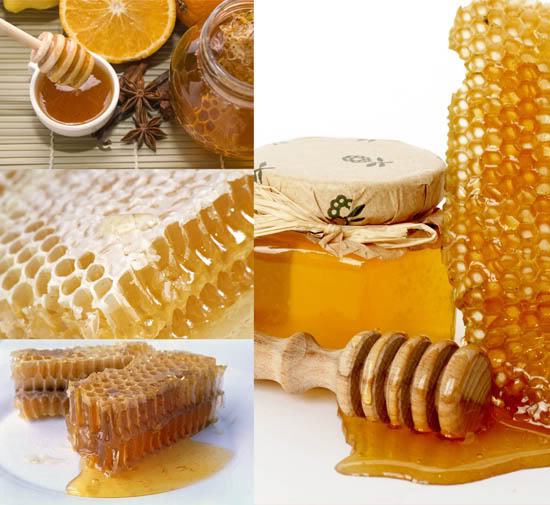 محلات بيع العسل 