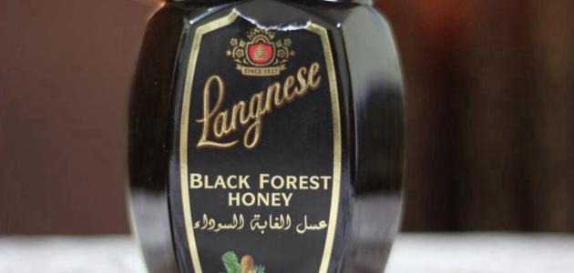 12 معلومة عن عسل الغابة السوداء فولائد لا حصر لها أهل السعودية