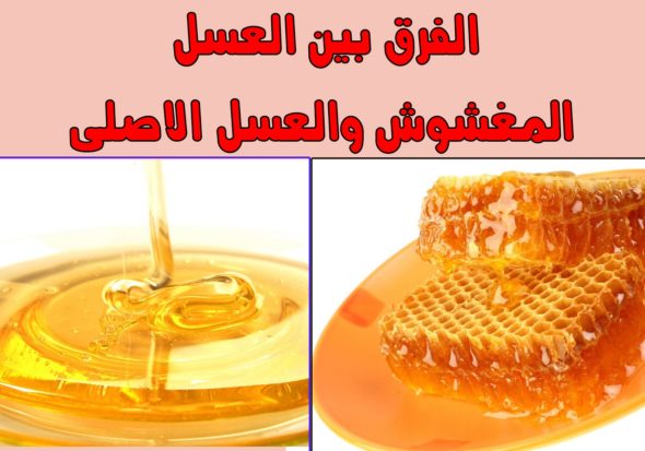 العسل الأصلي والمغشوش