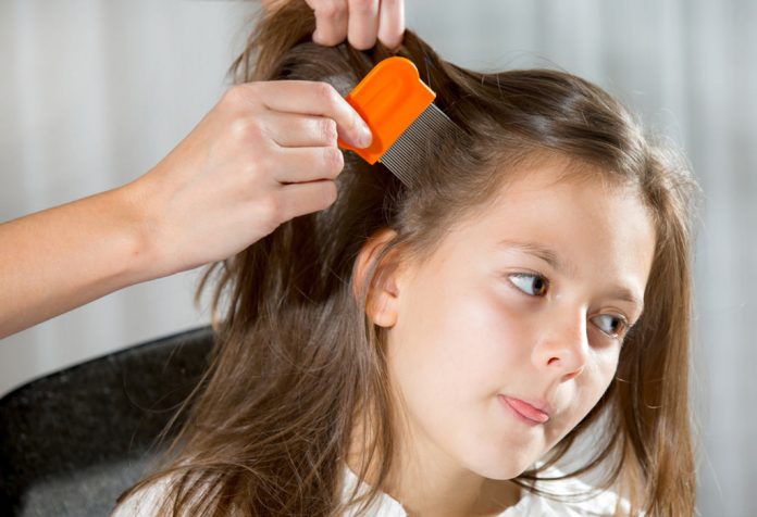 علاج تقصف الشعر المتقصف عند الأطفال 