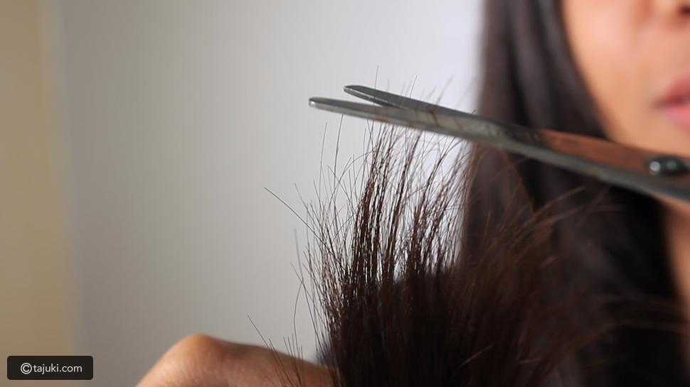 علاج تقصف الشعر بدون قص