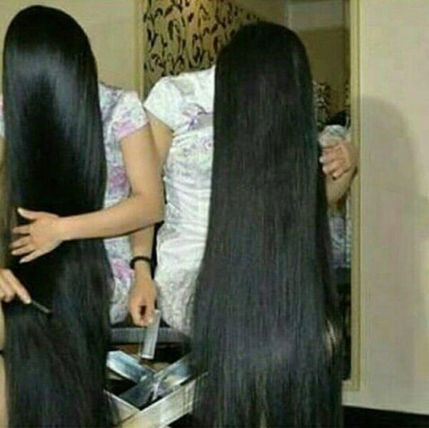 زيت الحشيش للشعر للحامل