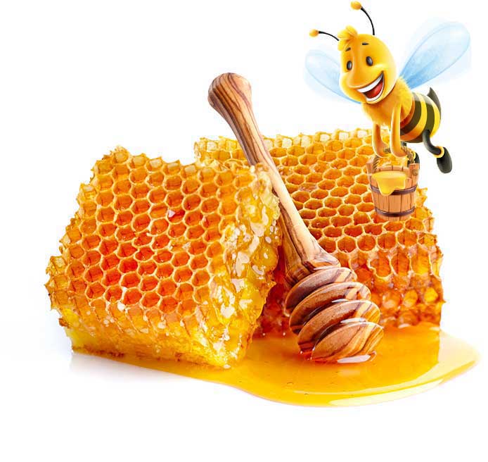 تجربتي مع تجارة العسل