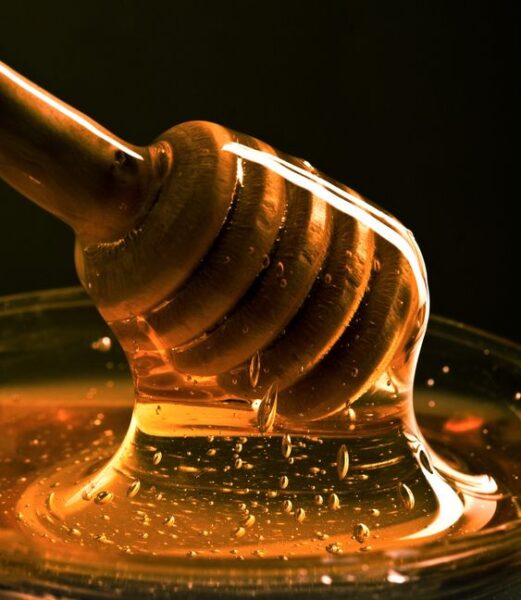 مشروع توزيع عسل النحل