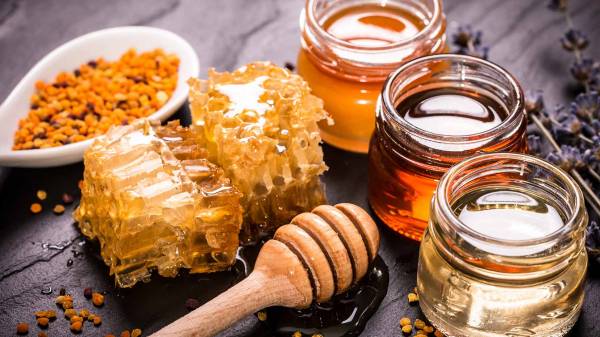 مصانع العسل في تركيا