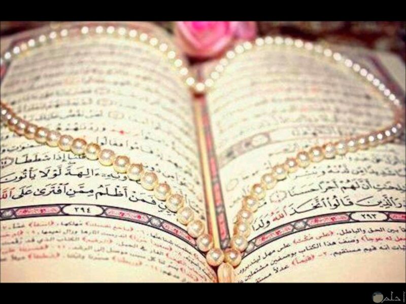 علاج نسيان القران