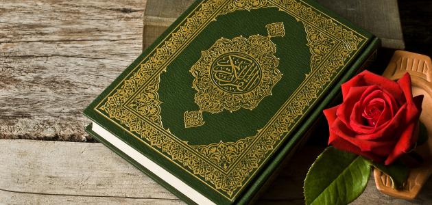  طريقة حفظ القرآن الكريم في سنة