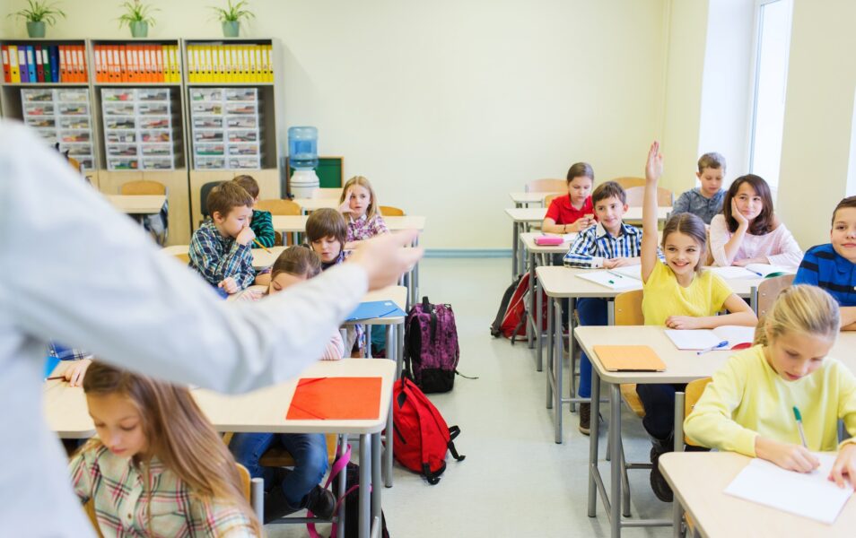 دراسة جدوى مدرسة أهلية