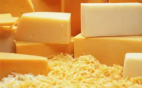 دراسة جدوي مصنع جبنة