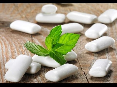 سعر ماكينة تصنيع اللبان