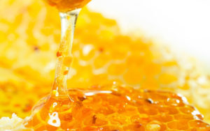 فوائد العسل الابيض للمخ