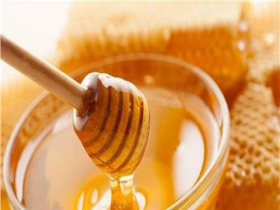 فوائد العسل في تقوية المناعة