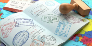  كم عدد التأشيرات للفرد